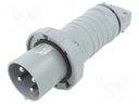 Connector: AC supply 3-phase; plug; male; straight; for cable