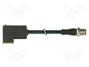 Connection lead; plug; PIN: 3; Contacts ph: 8mm; 4A; female; 24VDC