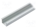 Profiles for LED modules; recessed; natural; L: 1m; aluminium