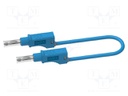 Test lead; 36A; banana plug 4mm,both sides; Len: 1m; blue