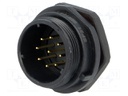 Socket; male; SP21; PIN: 9; IP68; soldering; 500V; 0.75mm2; 5A