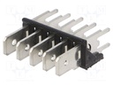 Terminal: spade terminal strip; 6.3mm; 0.8mm; THT; brass; tinned