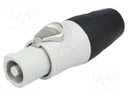 Plug; circular; female; PIN: 3; for cable; 25A; thermoplastic; IP54