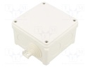 Enclosure: junction box; X: 98mm; Y: 60mm; Z: 98mm; wall mount; IP67