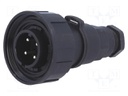 Connector: circular; plug; male; PIN: 4; Buccaneer Standard; IP68