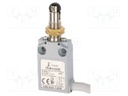 Limit switch; NO + NC; 5A; max.240VAC; max.250VDC; lead 1m; IP67