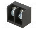 Connector: terminal block; YQ; 30A; 300V; terminal; PIN: 2; on PCBs