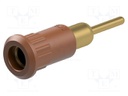 Socket; 4mm banana; 25A; 30VAC; 60VDC; brown; gold-plated; on panel