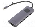 Hub USB; grey; Number of ports: 10; 0.15m; Colour: black