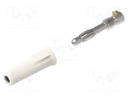 Connector: 4mm banana; plug; 36A; 30VAC; 60VDC; white; 47mm