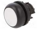 Switch: push-button; Stabl.pos: 1; 22mm; white; Illumin: none; IP67
