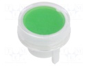 Cap; Man.series: KB; Colour: clear-green
