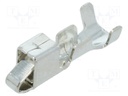 Contact; female; 0.0804÷0.325mm2; 26AWG÷22AWG; NPP; tinned; 2A
