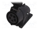Connector: AC supply 3-phase; plug; male; straight; for cable