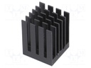 Heatsink: extruded; grilled; black; L: 19mm; W: 19mm; H: 24.5mm