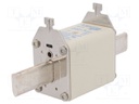 Fuse: fuse; gRL,gS; 250A; 690VAC; ceramic,industrial; NH2; URM