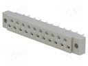 Socket; DIN 41617; female; PIN: 21; for cable; straight; 4A; 250V