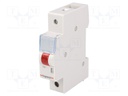 LED indicator; Mounting: DIN; 230VAC; Colour: red
