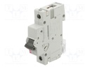 Circuit breaker; 230/400VAC; for DIN rail mounting; Charact: B
