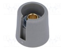 Knob; with pointer; polyamide; Shaft d: 6.35mm; Ø16x16mm; grey