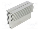 Heatsink: extruded; grilled; natural; L: 100mm; W: 33mm; H: 66.5mm