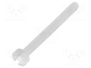 Screw; M2x20; DIN: 84; Head: cheese head; slotted; polyamide; 0,5mm