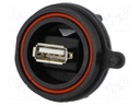 Adapter; USB B socket,USB A socket (sealed); USB Buccaneer