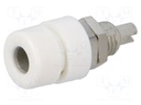 Connector: 4mm banana; socket; 32A; 30VAC; 60VDC; white; screw