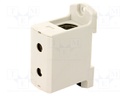 Splice terminal: rail; 25÷150mm2; ways: 1; terminals: 2; grey; TS35