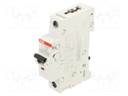 Circuit breaker; 230VAC; 220VDC; Inom: 13A; Poles: 1; Charact: C
