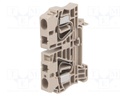 Splice terminal: rail; 6mm2; ways: 1; terminals: 2; beige; Width: 8mm