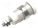 Socket; 4mm banana; 36A; white
