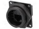 Coupler; RJ45; DC; PIN: 8; Cat: 5e; Layout: 8p8c; both sides socket