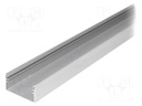 Profiles for LED modules; surface; natural; L: 2m; aluminium