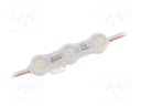 LED; white warm; 1.2W; 115lm; IP68; 12VDC; 160°; No.of diodes: 3