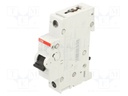 Circuit breaker; 230VAC; 220VDC; Inom: 2A; Poles: 1; Charact: C; 10kA