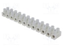 Terminal block; screw terminal; ways: 12; 6÷10mm2; terminals: 24