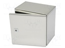 Enclosure: wall mounting; X: 300mm; Y: 300mm; Z: 210mm; AE; natural