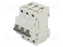Circuit breaker; 230/400VAC; for DIN rail mounting; Charact: C