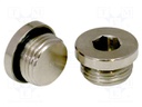 21g; Pneumatics: protection cap; Pneumatic connection: G3/8