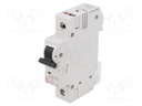 Circuit breaker; 230/400VAC; Inom: 2A; Poles: 1; DIN; Charact: C