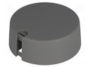 Knob; with pointer; plastic; Shaft d: 4mm; Ø40x16mm; grey