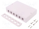 Socket; housing; Keystone; Colour: white; surface-mounted; female