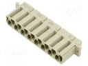 Connector: DIN 41612