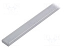 Profiles for LED modules; white; surface; natural; L: 1m; anodized