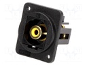 Coupler; RCA socket,both sides; Case: XLR standard; 19x24mm