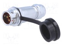 Plug; male; SF12; PIN: 3; IP67; 4÷6.5mm; 13A; soldering; for cable