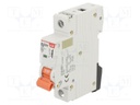 Circuit breaker; 230/400VAC; Inom: 25A; Poles: 1; Charact: C; 6kA