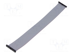 Ribbon cable with IDC connectors; Tape ph: 0.64mm; 254mm