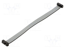 Ribbon cable with IDC connectors; IDC,both sides; Tape ph: 1mm